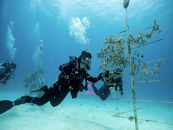 Iberostar Group collaborates with Expedia Group in the UNESCO Sustainable Travel Pledge, launch the media campaign